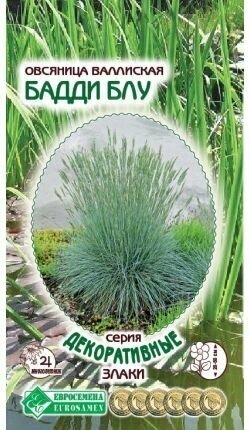 Овсяница валисская Бадди Блу 10шт/Евросемена