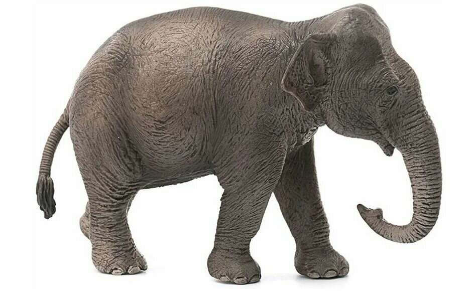 Фигурка Азиатский слон самка 14753 8.5 см Schleich