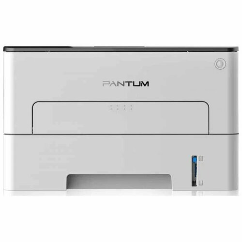 Принтер Pantum P3020D grey принтер лазерный pantum p3020d