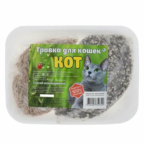 Травка Кот для кошек на подложке 100₽