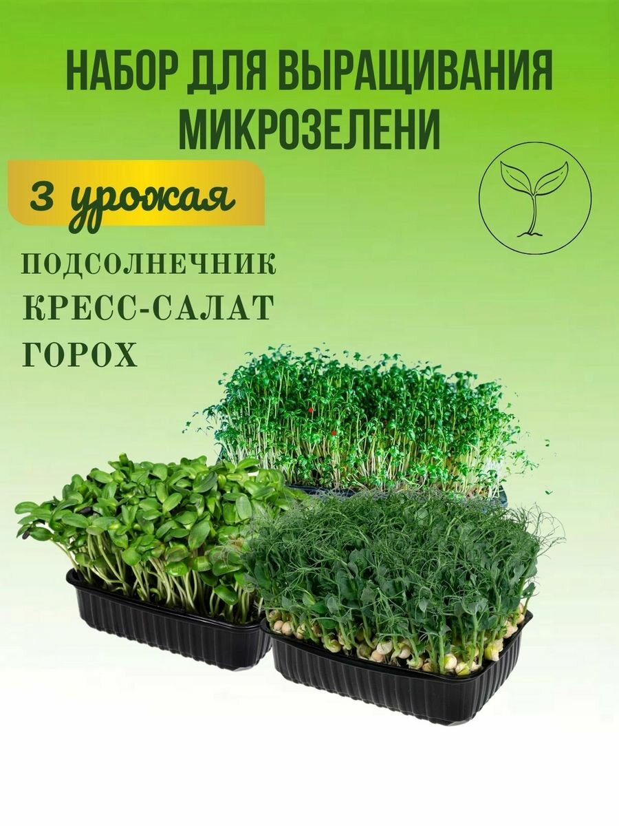 Набор для выращивания Микрозелени