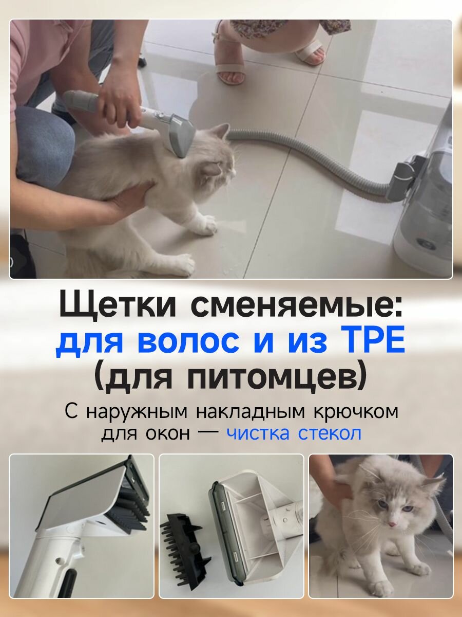 Пылесос Cozéchic H6 Black, для сухой и влажной уборки, контейнер 0,8 л, 4 насадки — фото 1