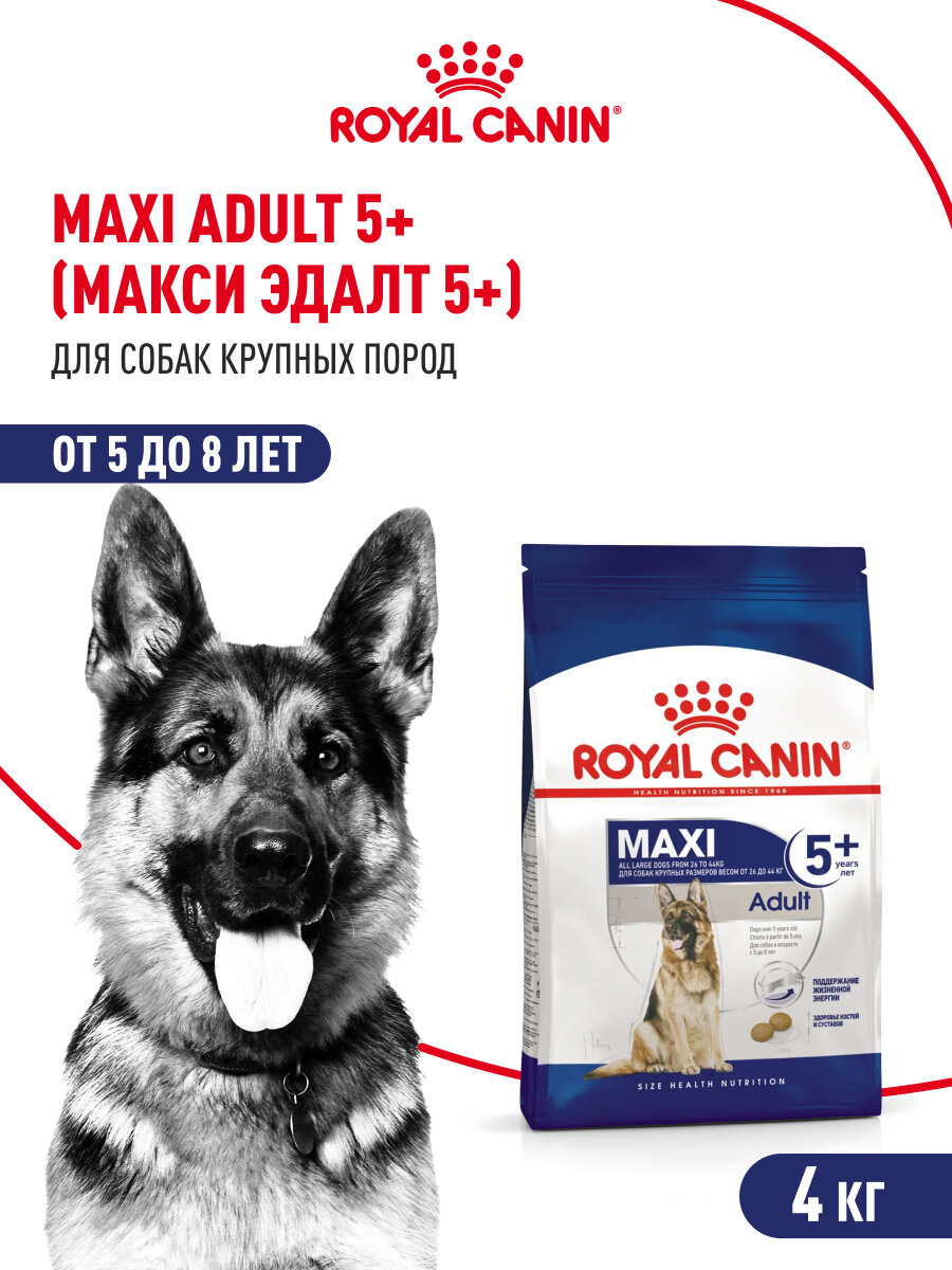 Сухой корм для собак Royal Canin Maxi Adult для крупных пород от 5 до 8 лет, 4 кг — фото 1