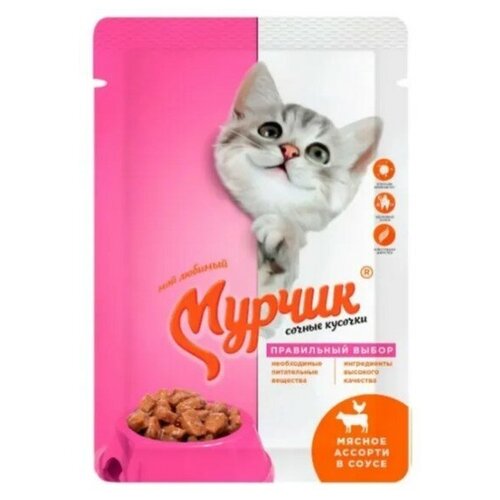 Мурчик для взрослых кошек с мясное ассорти в соусе (75 гр х 35 шт)