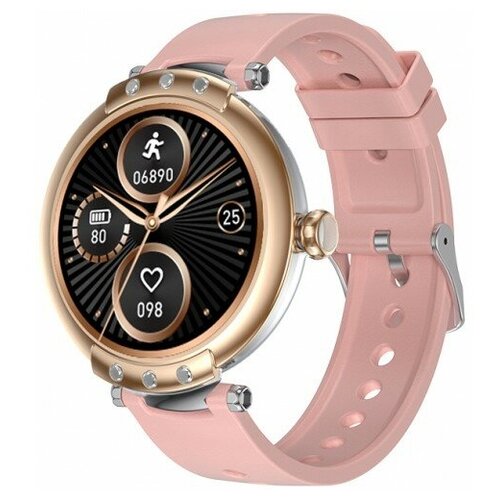 BandRate Smart BRSFR98GGR 799200₽