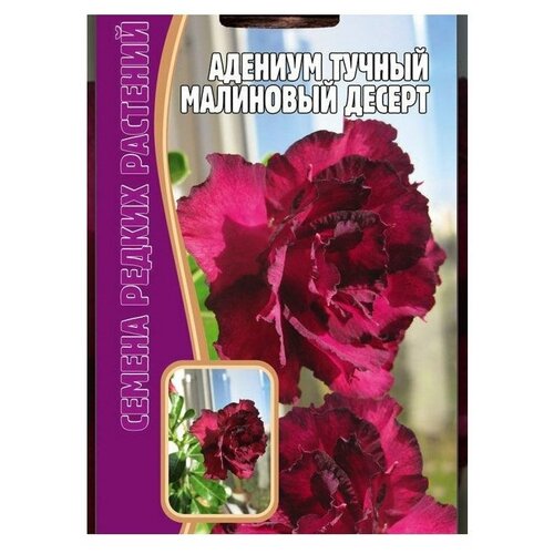 Семена Адениума Малиновый десерт (3 шт семян)