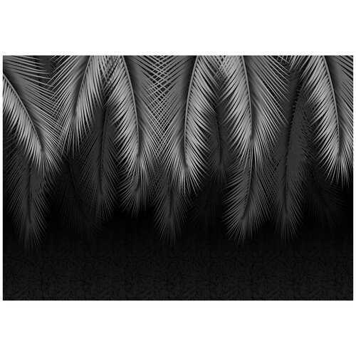 Фотообои Уютная стена Пепельные листья пальмы на темном фоне 390х270 см Виниловые Бесшовные (единым полотном)