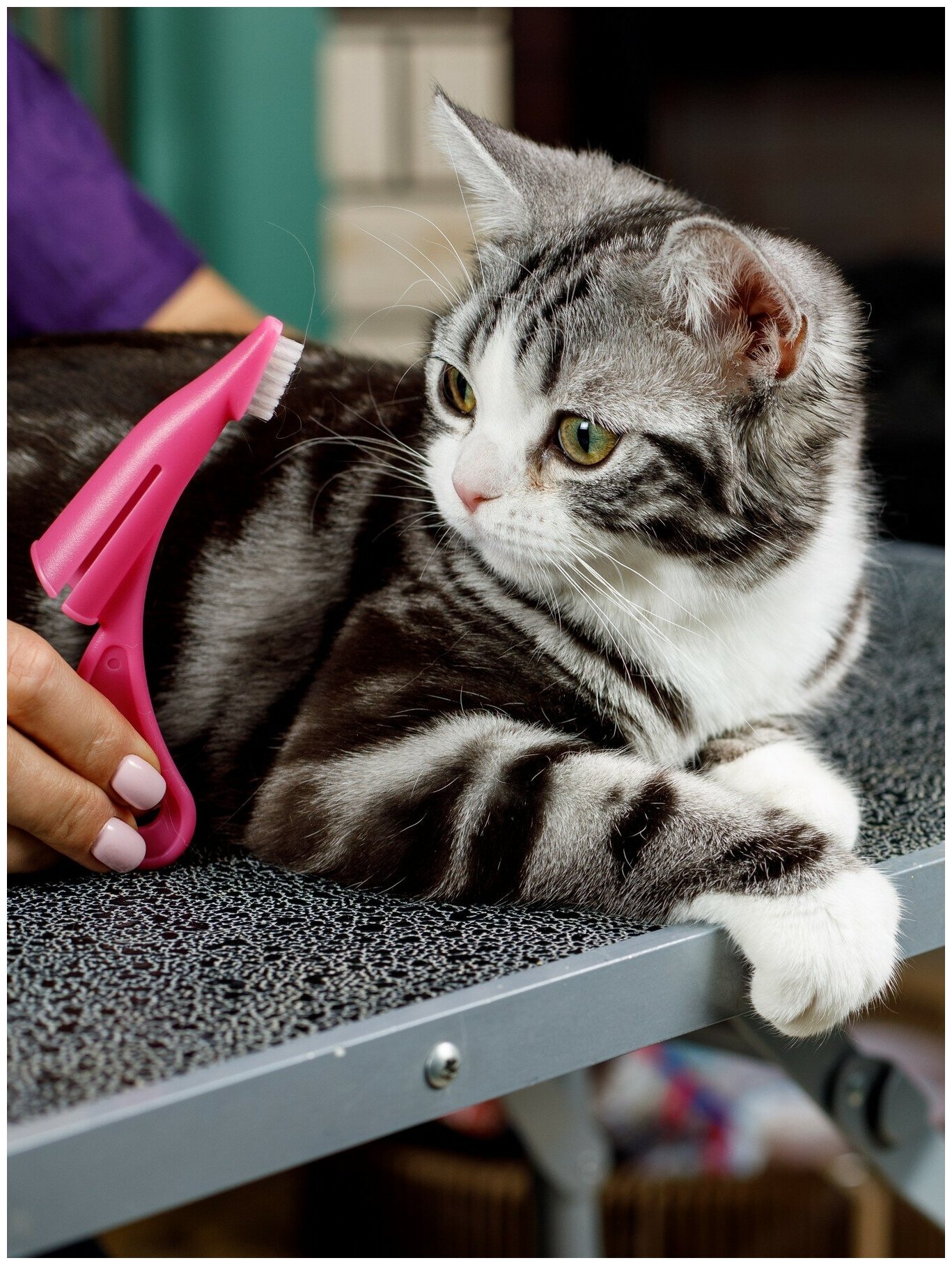 Зубная щетка для собак и кошек Japan Premium Pet анатомическая с ручкой для снятия налета, цвет розовый. - фотография № 10