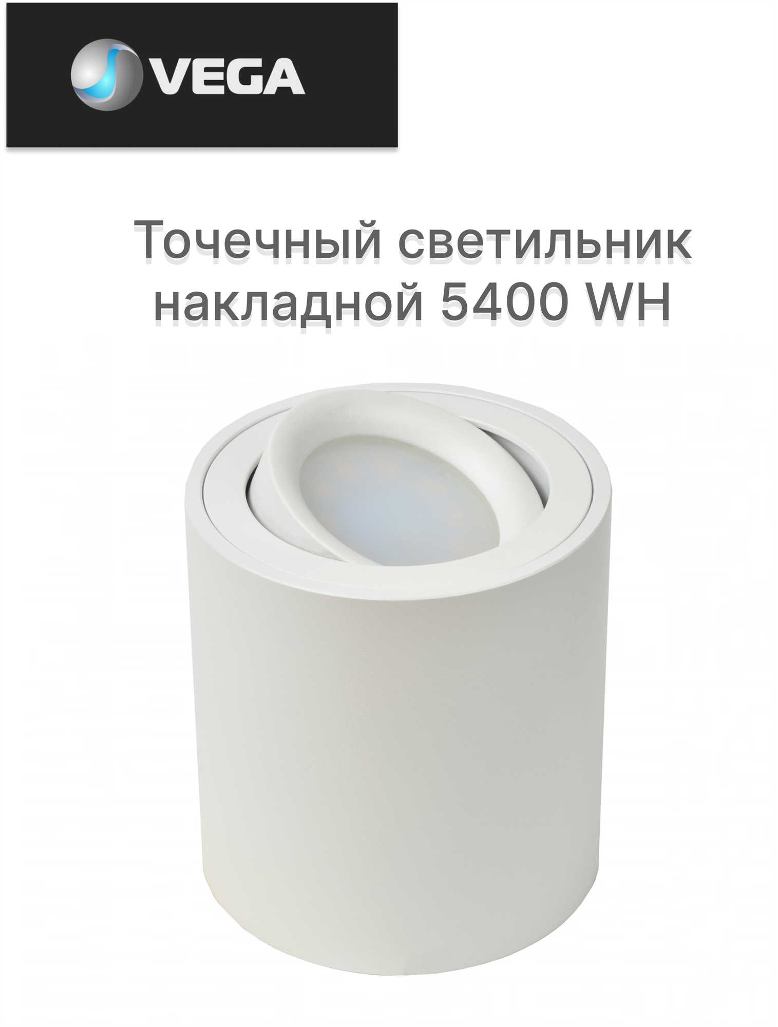 Накладной потолочный светильник 5400 WH