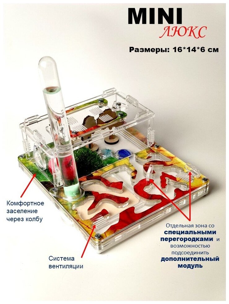Муравьиная ферма "Осенний листопад" MINI 16*14*6см Формикарий Люкс - фотография № 2