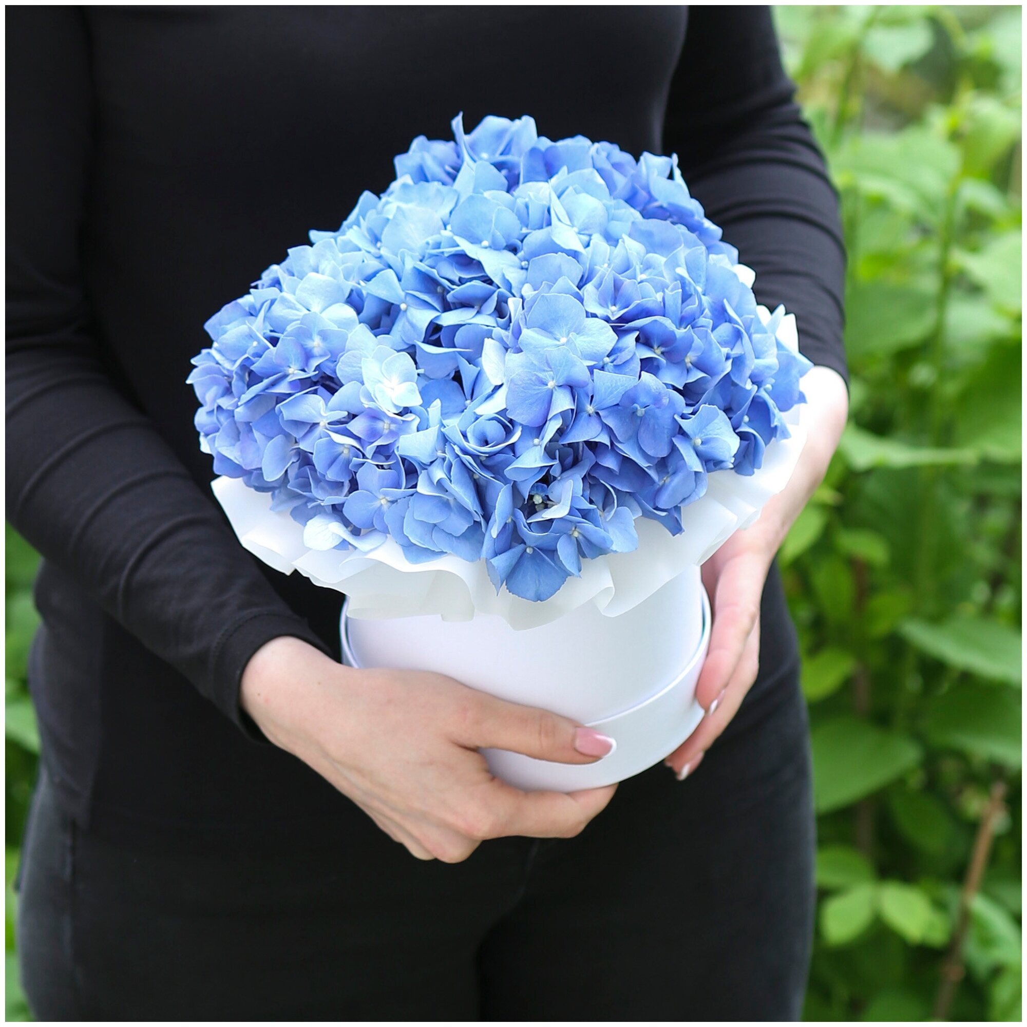 Цветы живые букет из синей гортензии в шляпной коробке