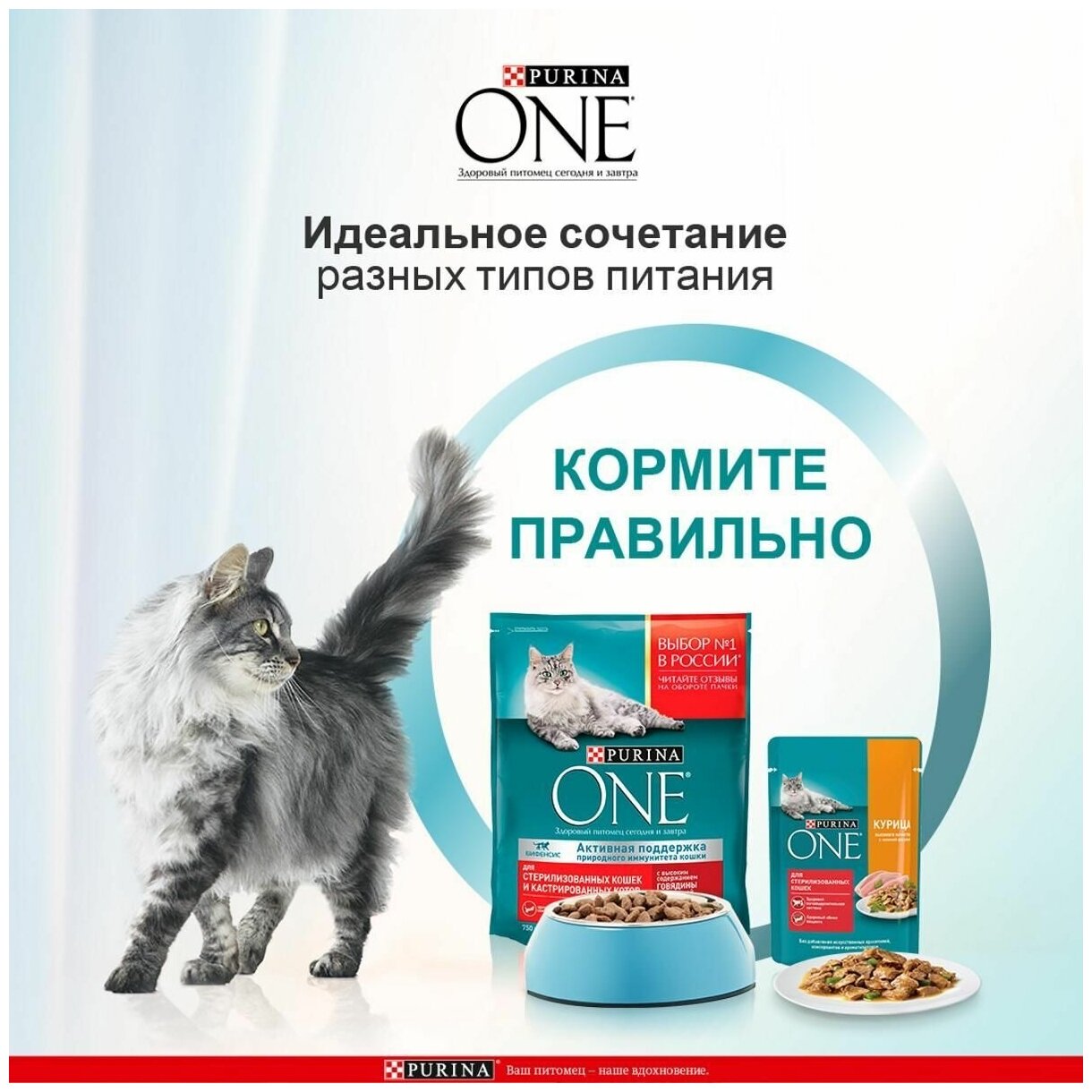 Сухой корм PURINA ONE для стерилизованных кошек, говядина/пшеница, 750 г - фотография № 11