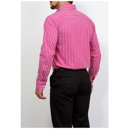 фото Рубашка мужская длинный рукав casino c611/15/200/z stretch, полуприталенный силуэт / regular fit, цвет розовый, рост 174-184, размер ворота 39