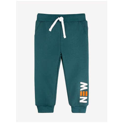 фото Брюки 486мпо20-461-а зеленый 74 bossa nova