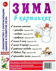 Зима в картинках. Наглядное пособие для педагогов, логопедов, воспитателей и родителей (Гном)