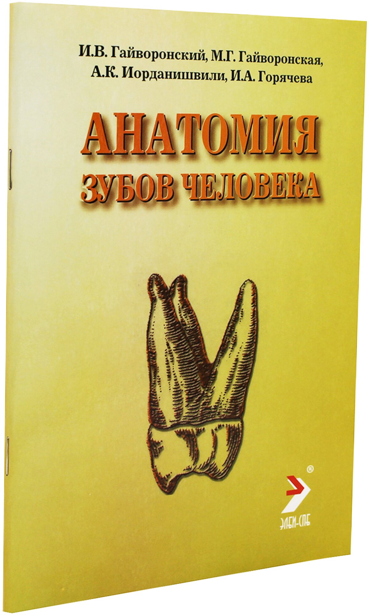 Гайворонский И. В. "Анатомия зубов человека: учебное пособие"