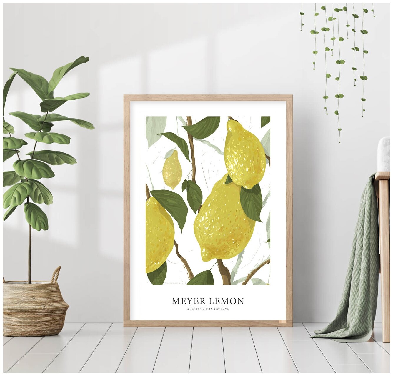 фото Лимоны иллюстрация рисунок