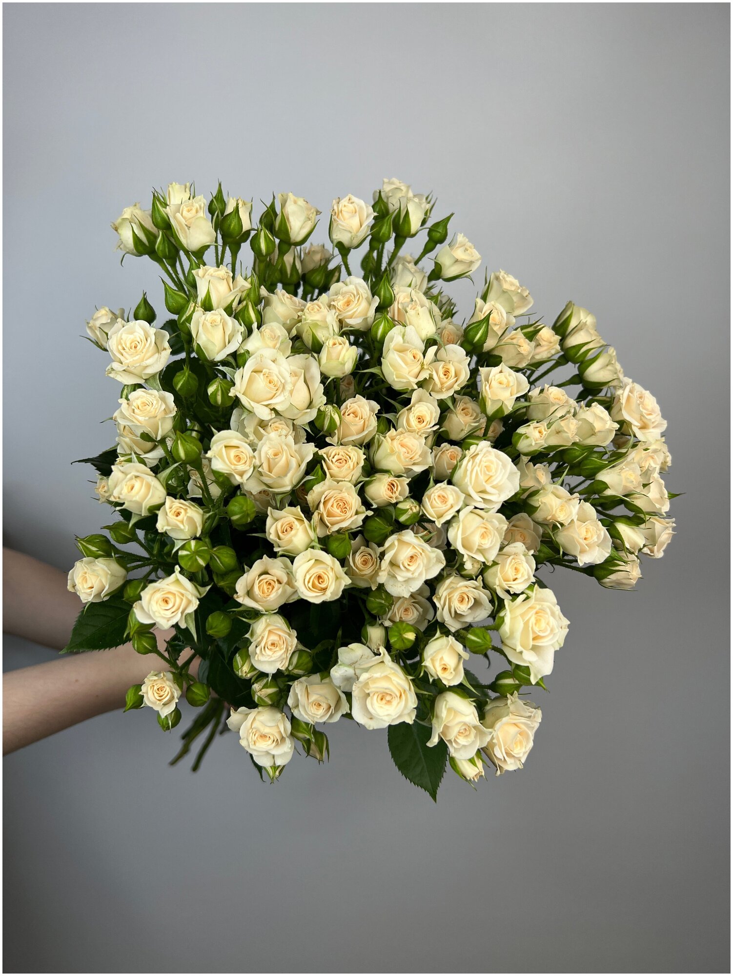 Букет из 7 кустовых роз Крем Грация 50 см белого и бежевого цвета