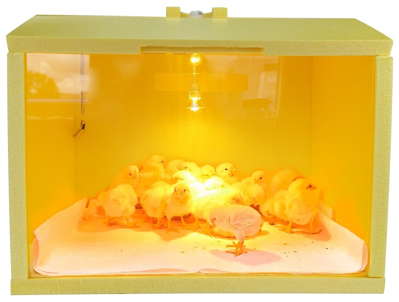 Автоматический брудер для цыплят "SITITEK HD 50W Auto" - фотография № 3