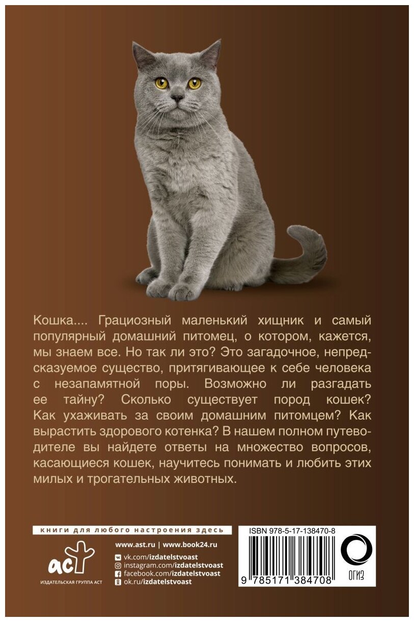 Кошки (Непомнящий Николай Николаевич) - фото №5