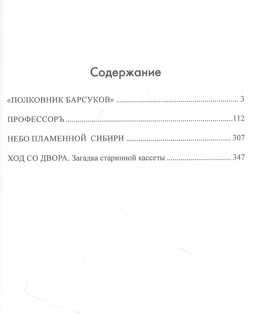 Полковник Барсуков (Барсуков Александр Викторович) - фото №2