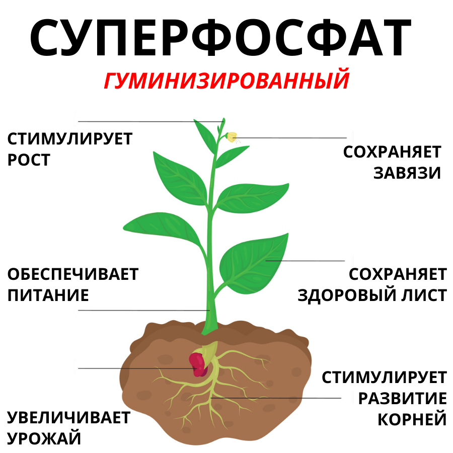 Удобрение Суперфосфат гуминизированный, 0,9 кг, 2 шт. - фотография № 4