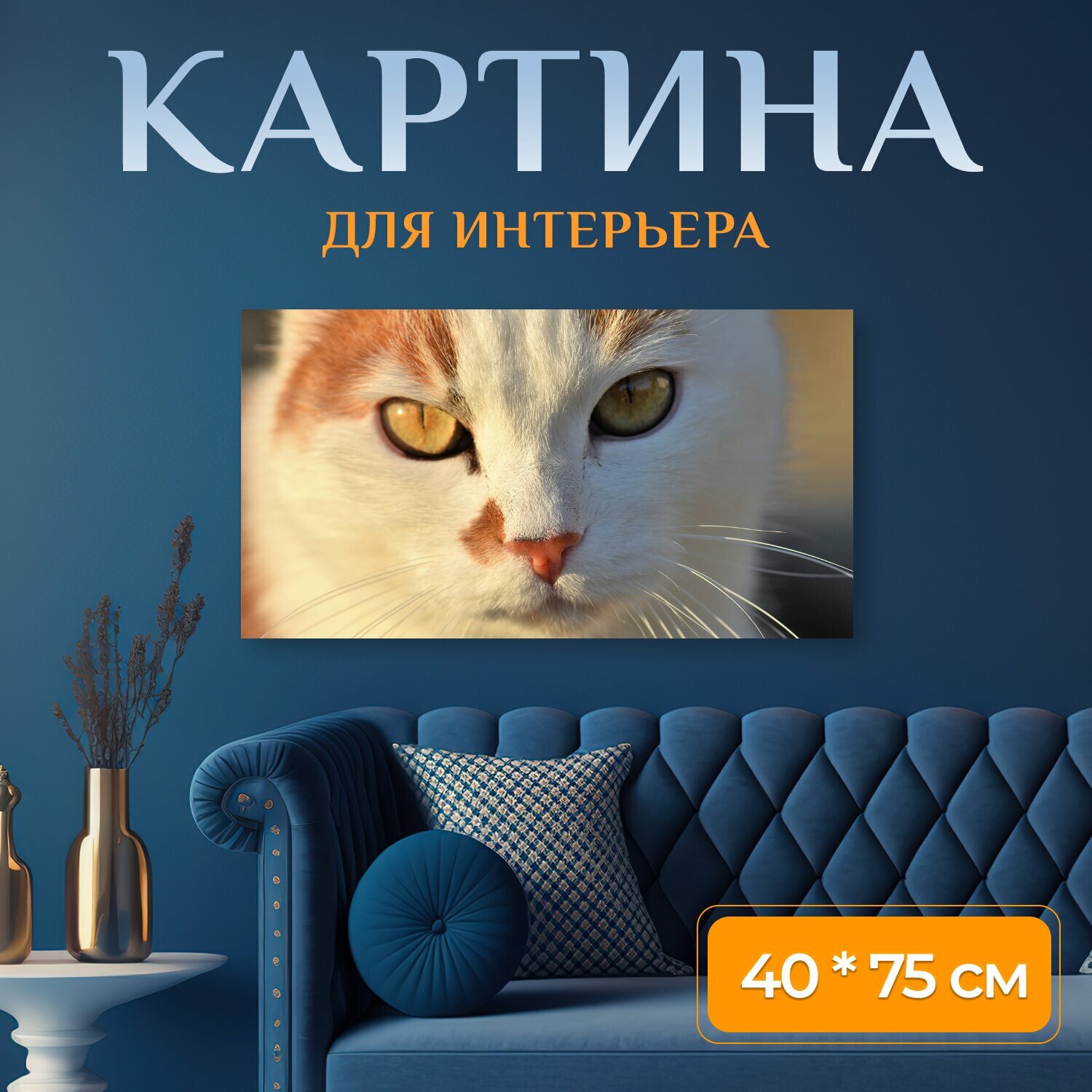 Картина на холсте "Кот, домашняя кошка, домашнее животное" на подрамнике 75х40 см. для интерьера