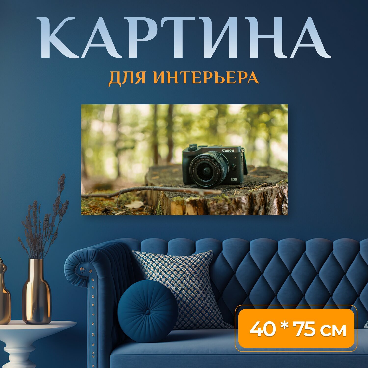 Картина на холсте "Лес, камера, каноник" на подрамнике 75х40 см. для интерьера