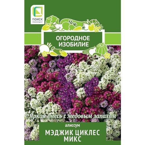 Семена цветов Поиск алиссум Мэджик Циклес микс