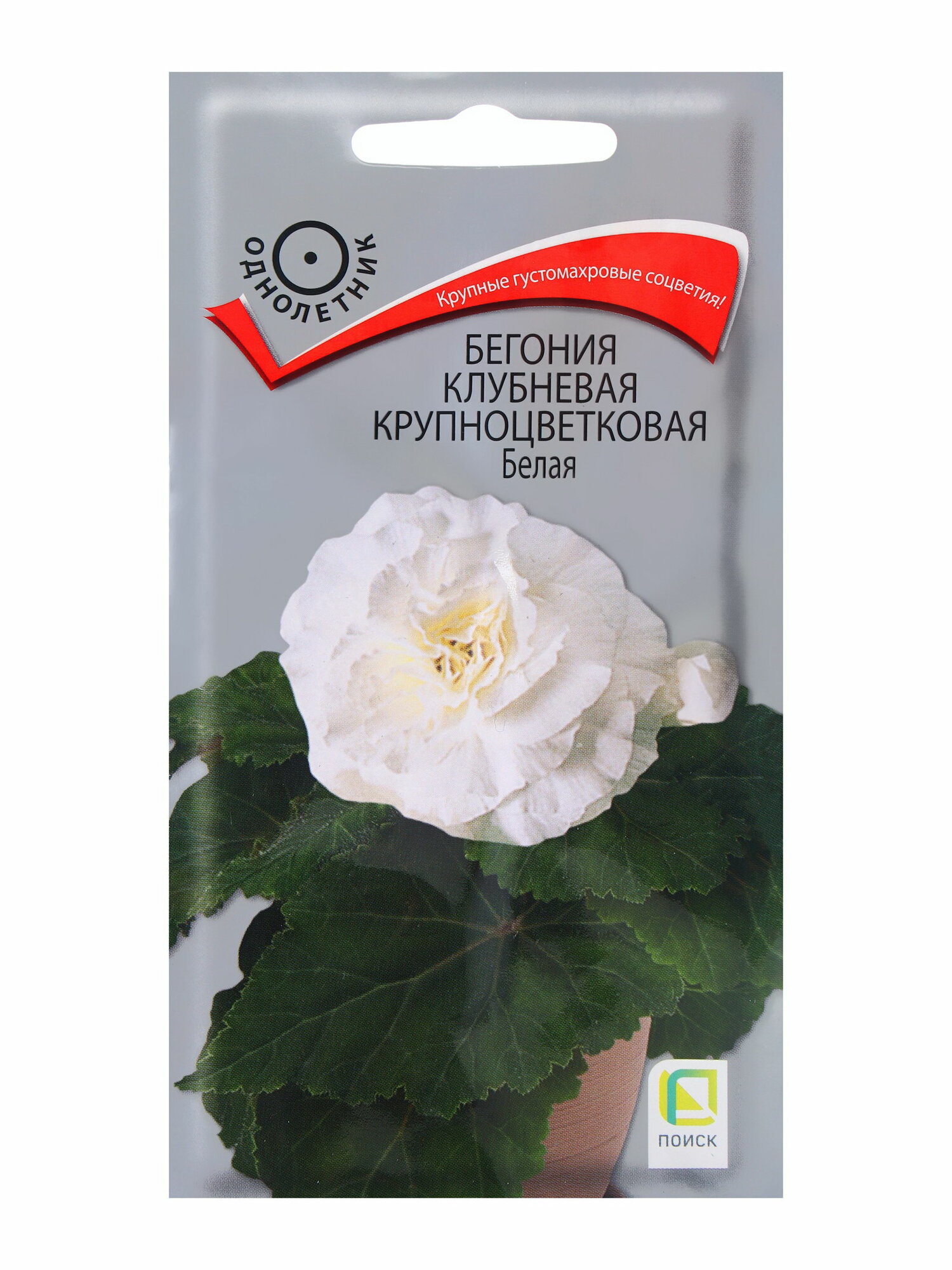 Семена цветов Бегония клубневая крупноцветковая Белая 5шт отношение к свету: светолюбивые