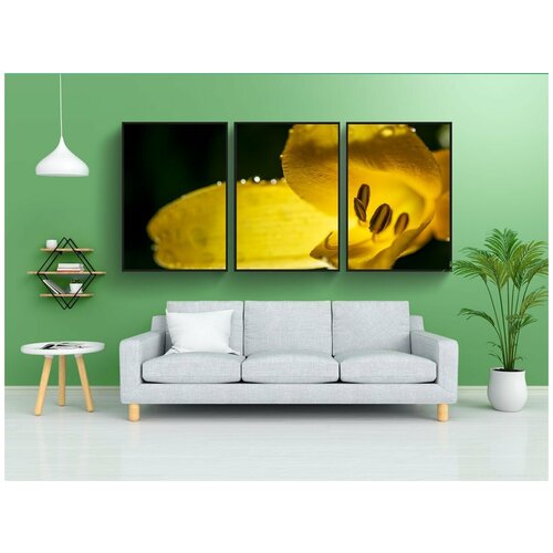 фото Набор модулных постеров для интерьера "природа, цветы, растения" 60x90 см. в тубусе, без рамки lotsprints