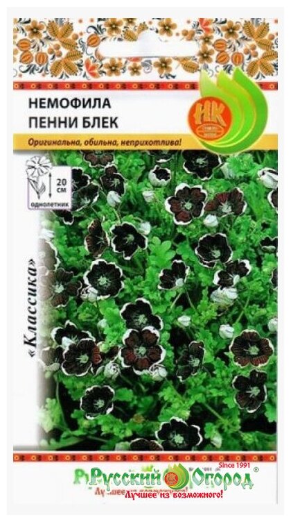 Семена Немофила "Русский огород" Пенни блек 02г