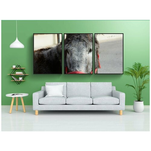 фото Набор модулных постеров для интерьера "домашний осёл, голова осла, голова" 60x90 см. в тубусе, без рамки lotsprints