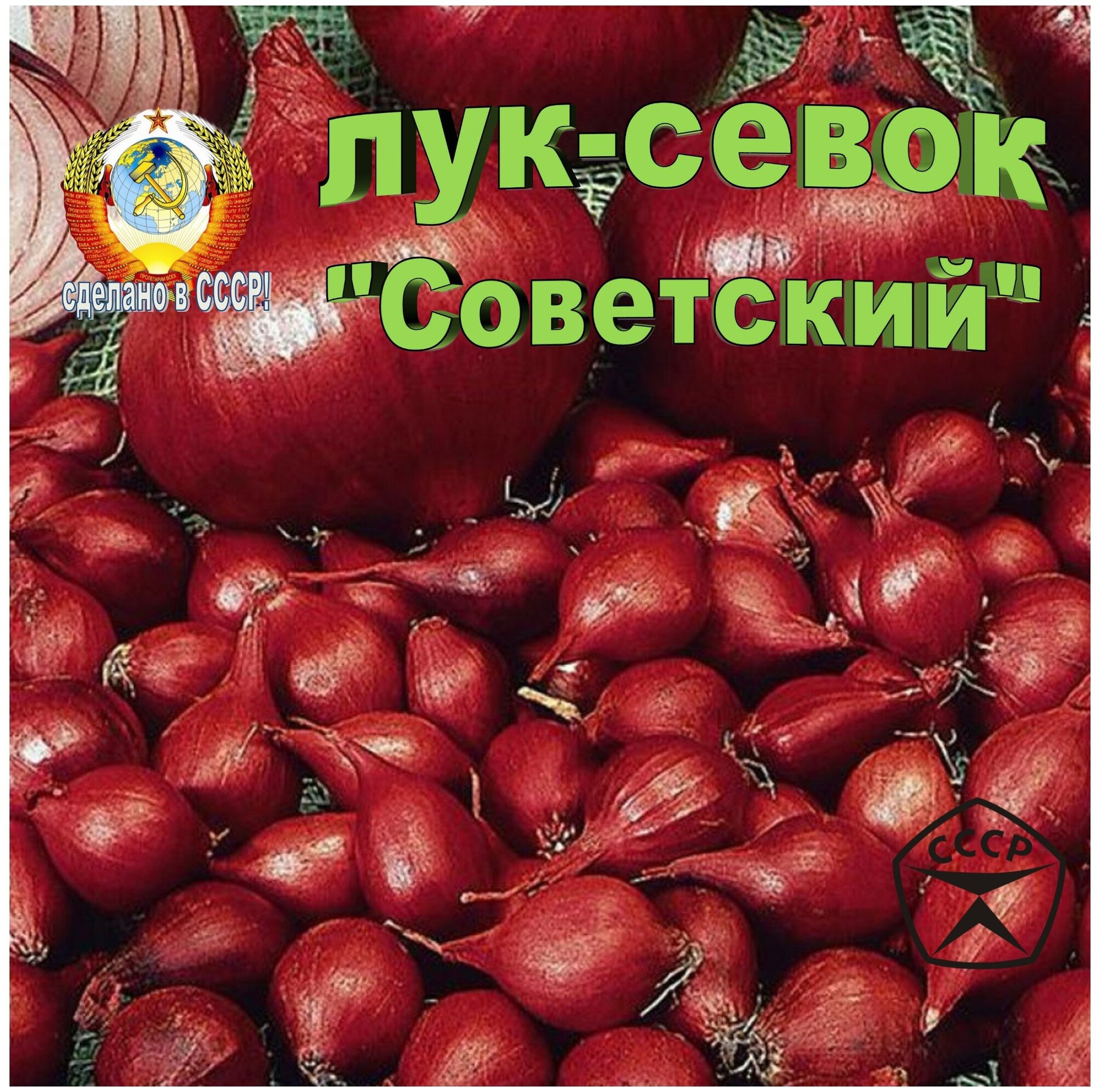 Лук-севок Кармен "Советский", 2-я кат (14-22 мм, осень), 500 грамм - фотография № 1