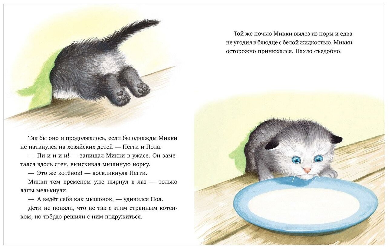 Как котёнок Микки был мышкой (Нортон М.) - фото №8