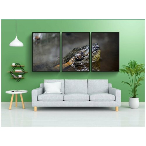 фото Набор модулных постеров для интерьера "линия, анаконда, вода" 60x90 см. в тубусе, без рамки lotsprints