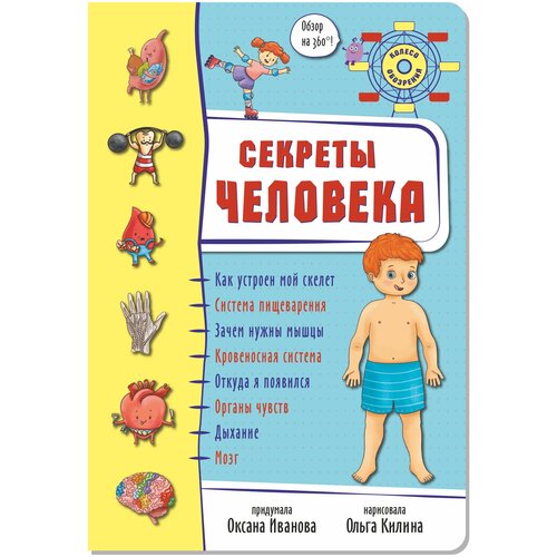 Секреты человека. Анатомия для детей. Тело человека. Книжка-панорамка. 360 градусов. Подарок малышу