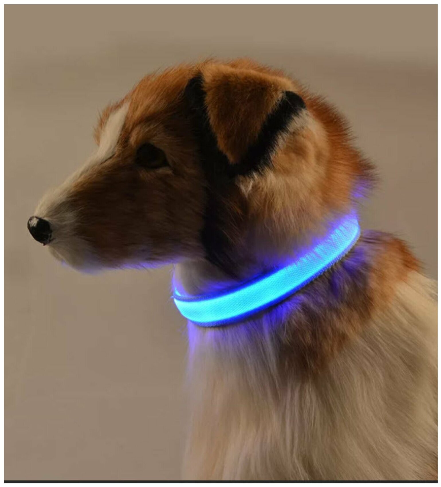 Ошейник для животных Poco case Прогулочный Светящийся на батарейках, светодиодный LED, размер M, 30-38 см - фотография № 4