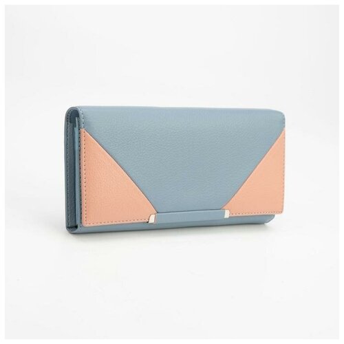фото Кошелёк на магнитах, цвет голубой без бренда