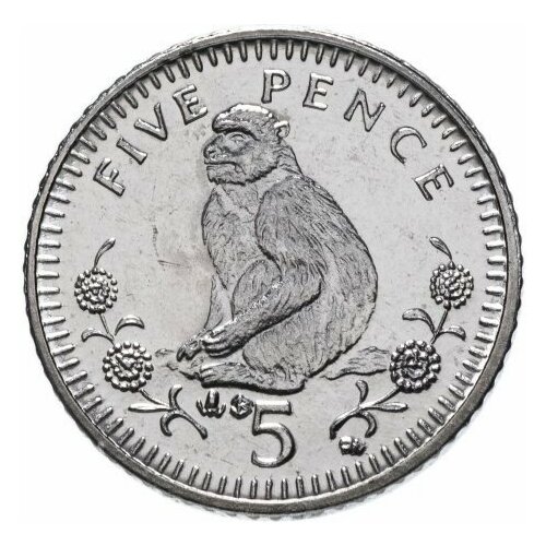Гибралтар 5 пенсов 2003 Берберийская обезьяна