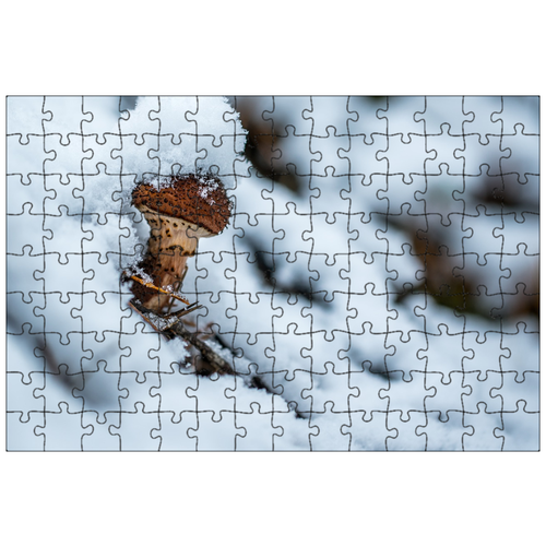 фото Магнитный пазл 27x18см."зима, снег, снежная шапка" на холодильник lotsprints