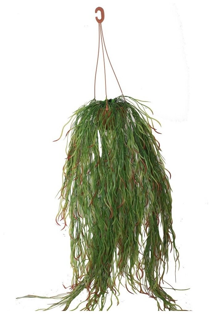 Искусственная куст свисающий в подвесном кашпо / Искусственные растения для декора / декор для дома