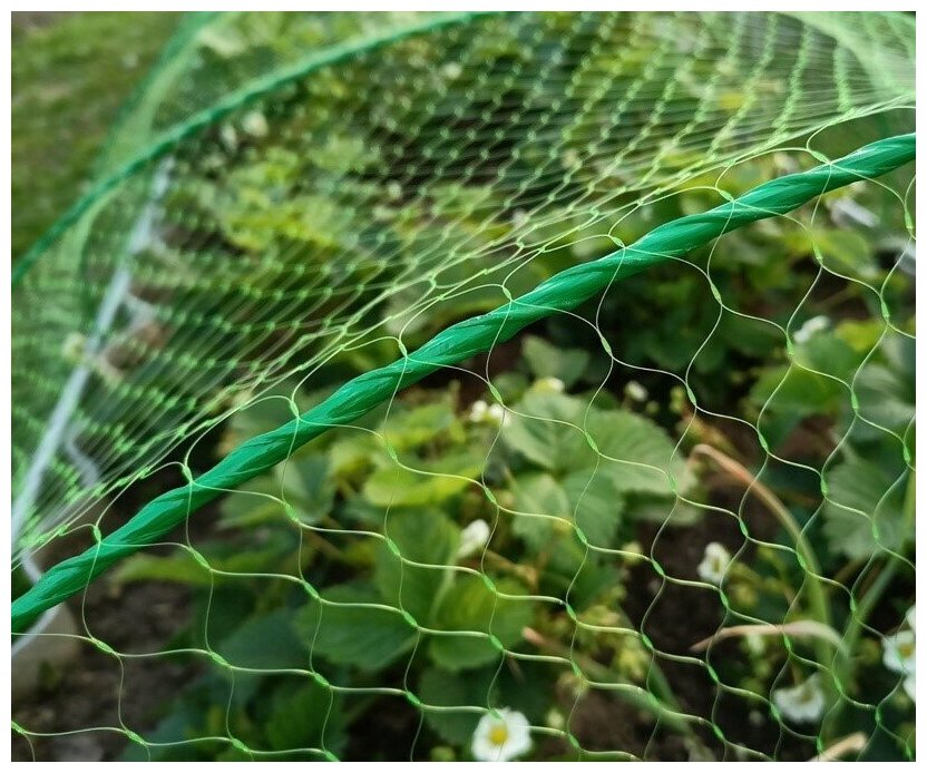Пластиковая сетка от птиц 2х10 м Интерлок, ячейка 20х20 мм, садовая для защиты урожая