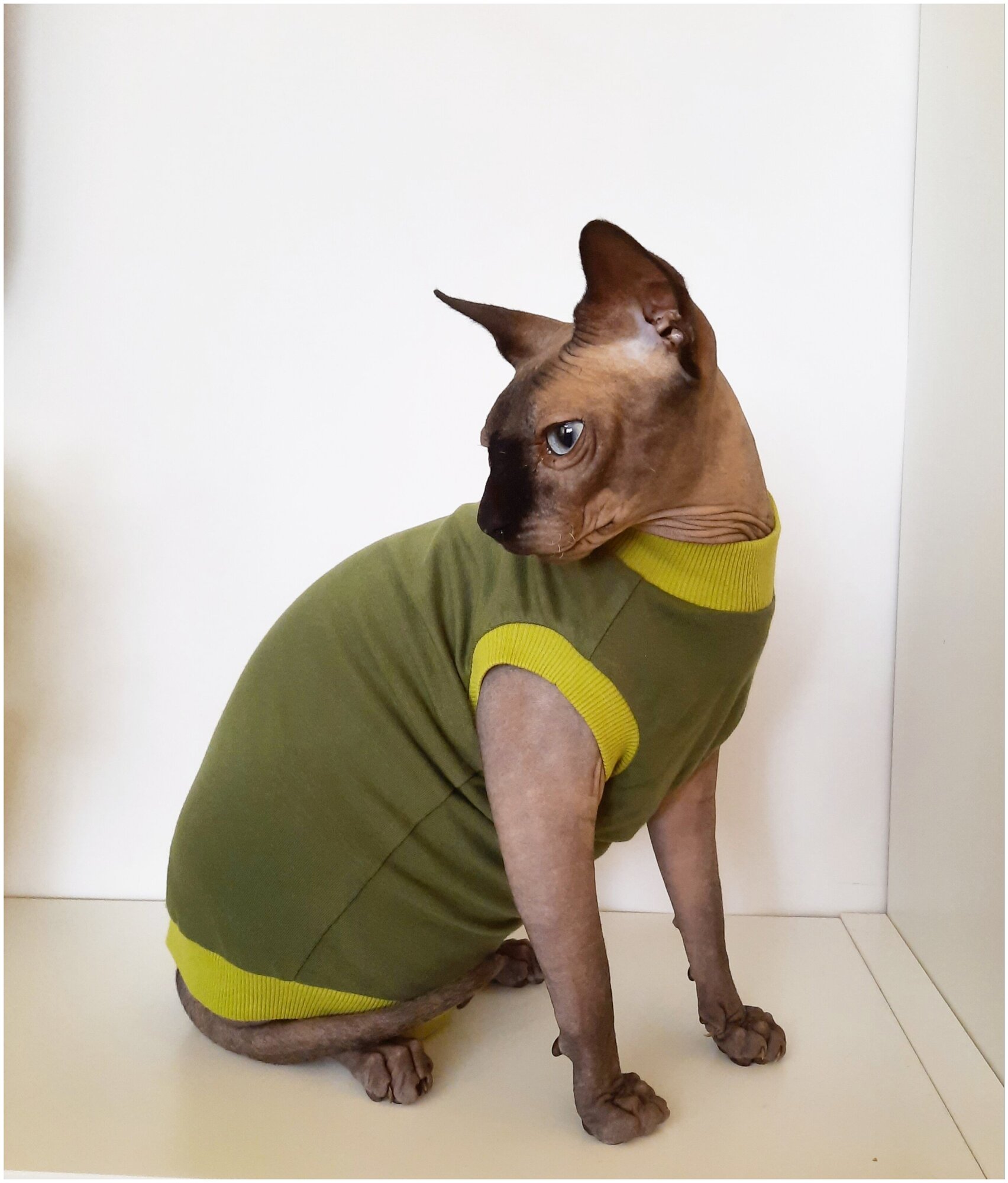 Футболка для кошек, размер 30 (длина спины 30см), цвет зеленый кедр / майка футболка для кошек сфинкс /одежда для животных / одежда для кошек сфинкс - фотография № 12
