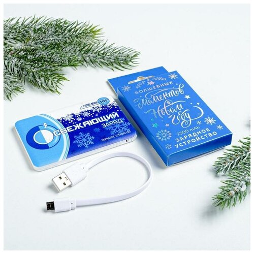 Портативный аккумулятор Освежающий заряд 2500 mAh 6 х 95 смВ упаковке шт 1 94100₽