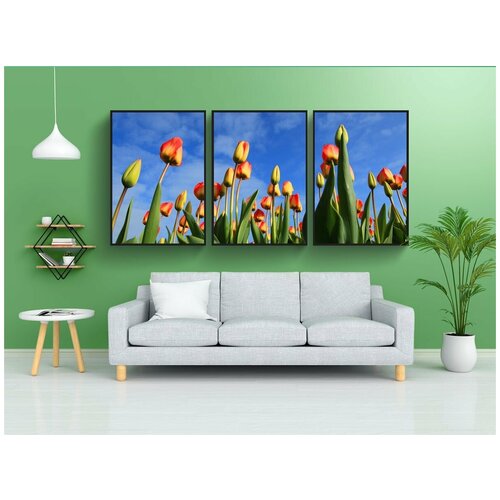 фото Набор модулных постеров для интерьера "поле, цветы, бутоны" 60x90 см. в тубусе, без рамки lotsprints