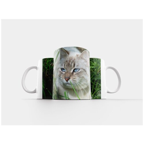 фото Кружка "кошка, feline, животное" 320 мл lotsprints