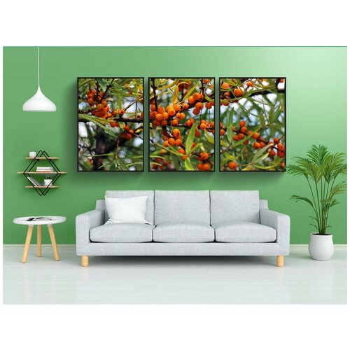 фото Набор модулных постеров для интерьера "облепиха, фрукты, ягода" 60x90 см. в тубусе, без рамки lotsprints
