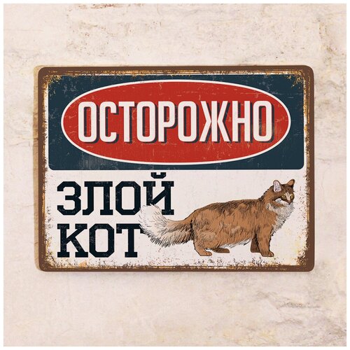 Жестяная табличка Злой кот - Пушистый, металл, 30Х40 см