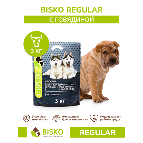 Сухой полнорационный корм Биско Регуляр для взрослых собак со средним уровнем активности 3 кг